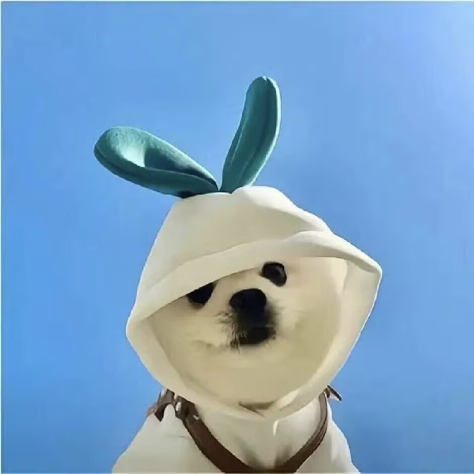 我的头像